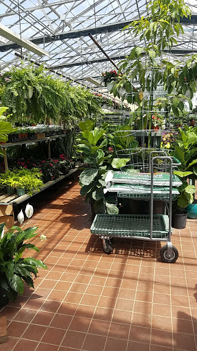 Westminster Nursery & Florist, 30 Westminster Rd, West Hempstead, NY 11552, USA, 