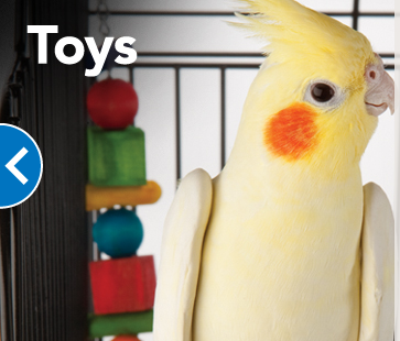 Pet Supply Store «PetSmart», reviews and photos, 3050 Middle Country Rd, Nesconset, NY 11767, USA