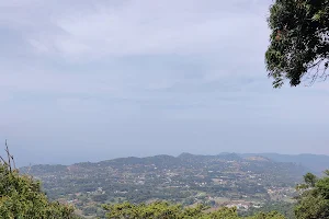 Swamimalai Hills, Yelagiri image
