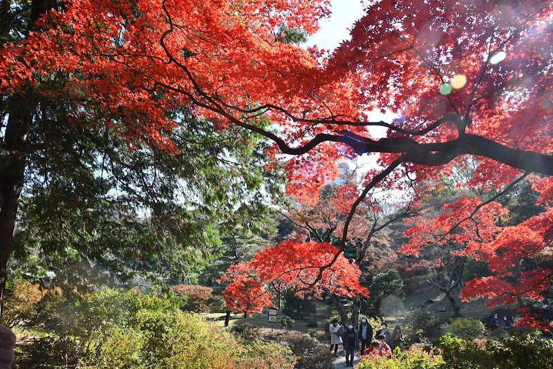 水香江