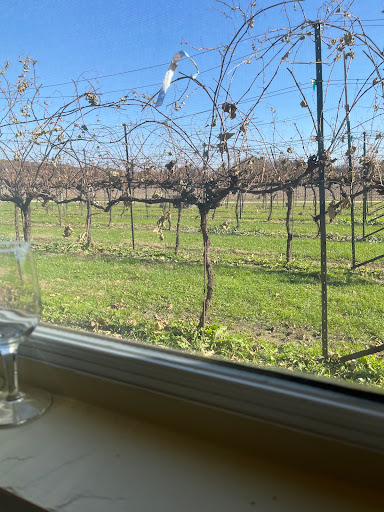 Winery «Staller Estate Winery», reviews and photos, W8896 County Rd A, Delavan, WI 53115, USA