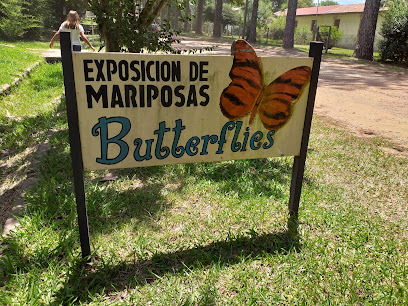 Butterflies - exposición de mariposas