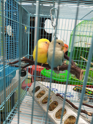 Pet Supply Store «Pet Care Inc.», reviews and photos, 2500 East Cesar E Chavez Avenue, Los Angeles, CA 90033, USA