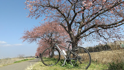 新川サイクリングロード