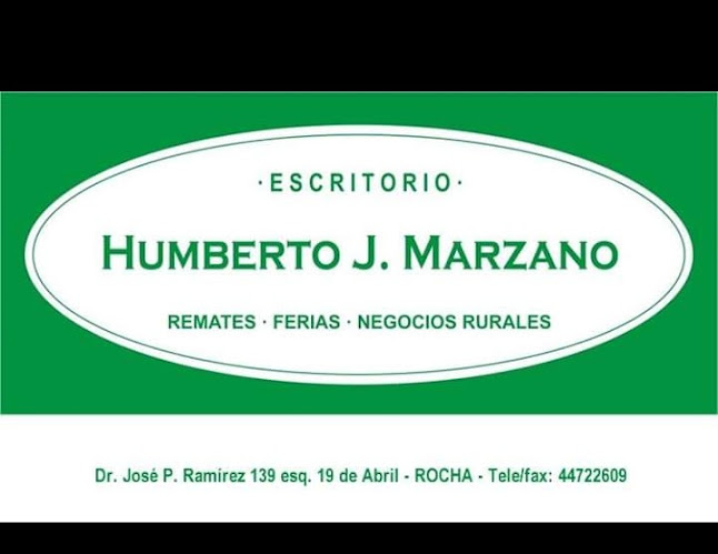 Opiniones de Escritorio Humberto J Marzano en La Paloma - Supermercado