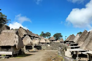Bena Traditional Village (Thatched Roof Village) image