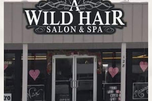 A Wild Hair Salon & Day Spa