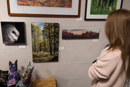 Art Gallery «Sedona Arts Center», reviews and photos