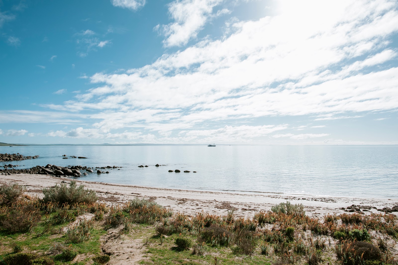 Foto di Engine Point Beach con una superficie del sabbia beige