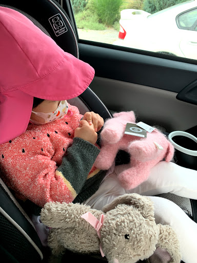 Livestock Breeder «Alpacas at Marquam Hill Ranch», reviews and photos, 35835 OR-213, Molalla, OR 97038, USA