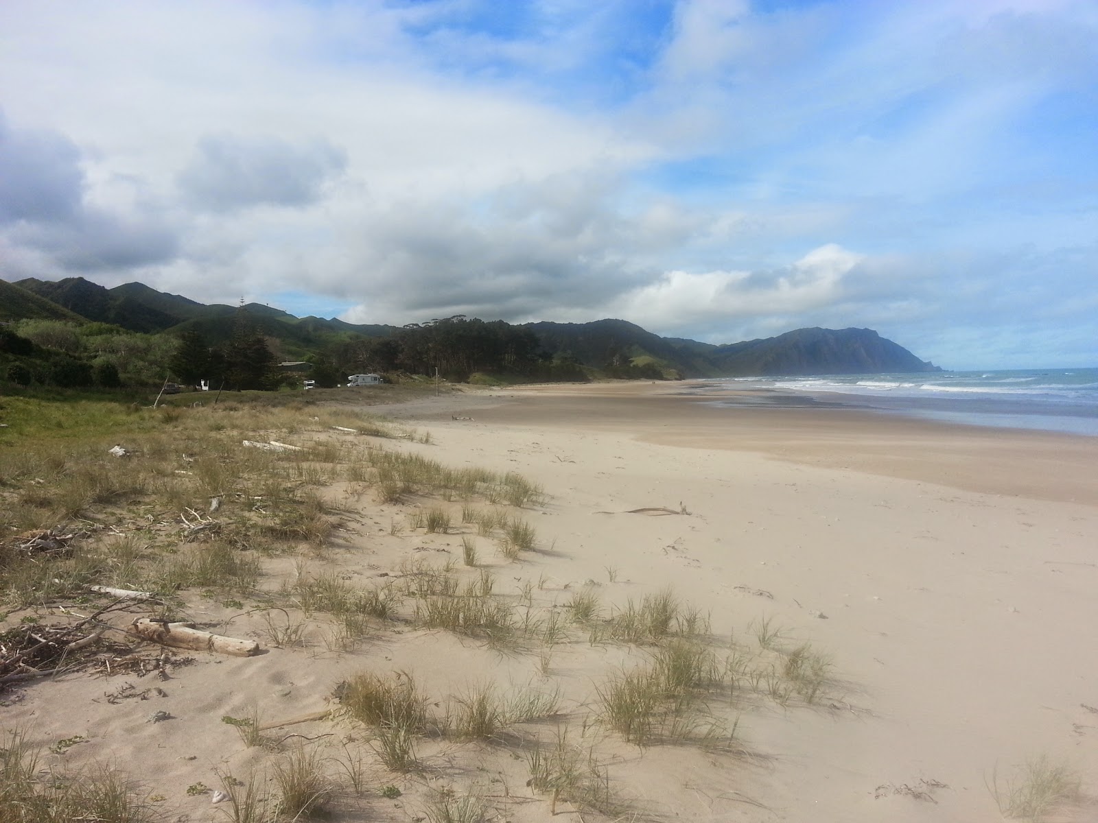 Fotografija Waihau Bay Beach in naselje
