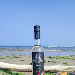 Photo n°1 de l'avis de Gábor.e fait le 13/10/2023 à 12:05 sur le  Hotel Marylise à Rimini