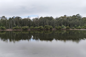Cullendulla Creek Nature Reserve