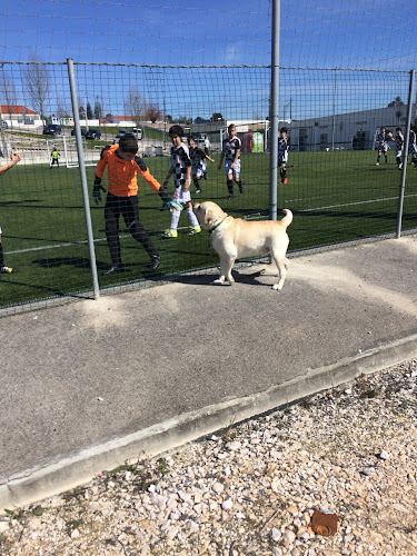 Campo do Grupo Desportivo e Recreativo da Boavista - Campo de futebol