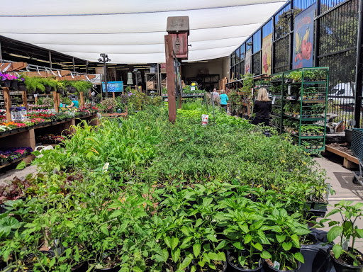 Hardware Store «Orchard Supply Hardware», reviews and photos, 1151 Andersen Dr, San Rafael, CA 94901, USA