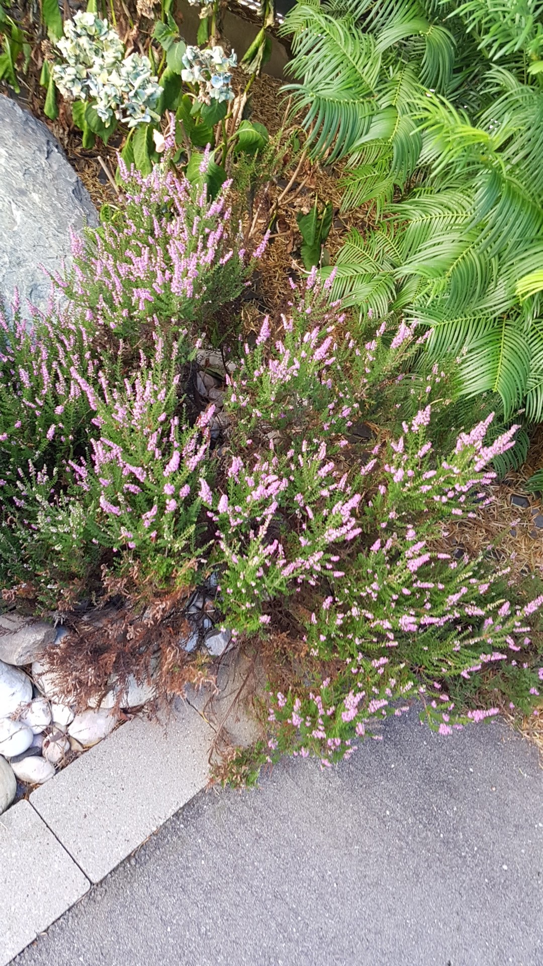 Photo n° 25 de l'avis de hugo.l fait le 20/08/2018 à 15:25