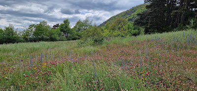 Mont Miaune à Roche-en-Régnier