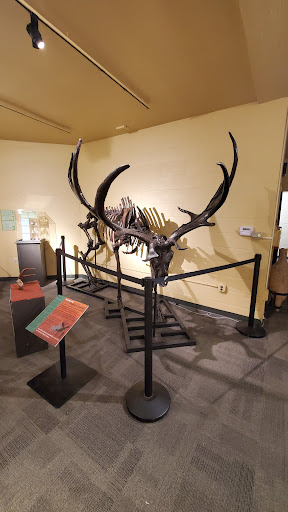 Museum «North Museum of Nature and Science», reviews and photos, 400 College Ave, Lancaster, PA 17603, USA