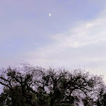 Photo n°4 de l'avis de Sean.s fait le 21/01/2019 à 05:50 sur le  Agriturismo Su Leunaxiu à Soleminis