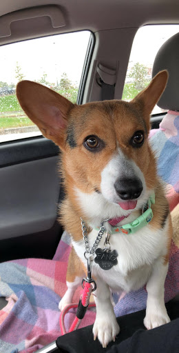 Pet Supply Store «Pet Supplies Plus», reviews and photos, 1800 County Rd 42 W, Burnsville, MN 55337, USA