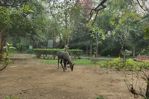 Hauz Khas Forest image