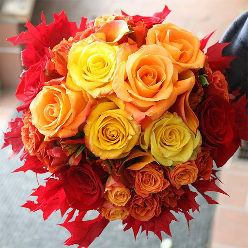 Florist «Salvy the Florist», reviews and photos, 793 Western Ave, Lynn, MA 01905, USA