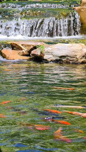 Zoo «Catoctin Wildlife Preserve and Zoo», reviews and photos, 13019 Catoctin Furnace Rd, Thurmont, MD 21788, USA