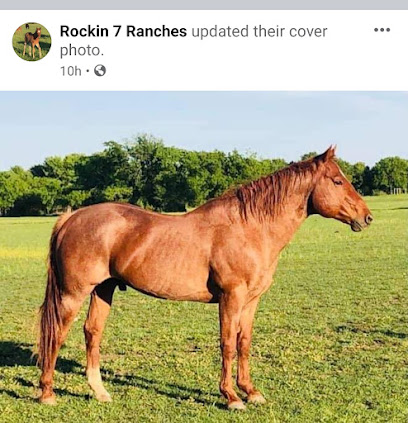 Rockin 7 Ranches