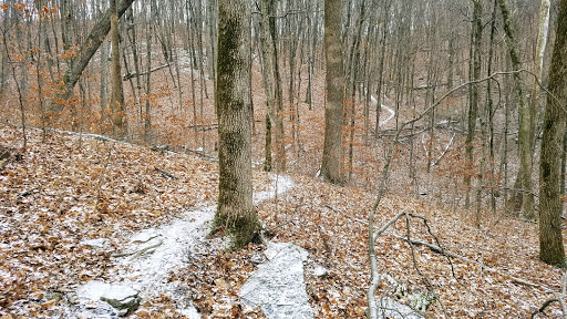 Nature Preserve «Engelmann Woods Natural Area», reviews and photos, 2360 Hwy D, Boles Township, MO 63304, USA