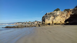 Praia da Infanta'in fotoğrafı vahşi alan