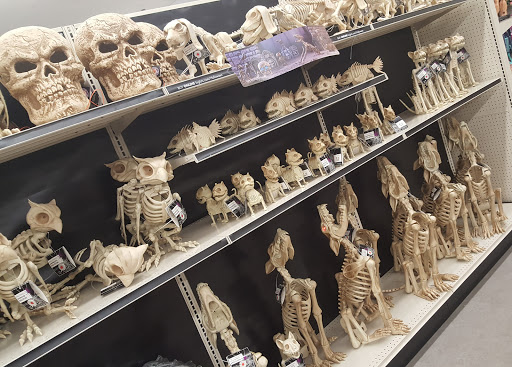 Discount Store «Big Lots», reviews and photos, 1988 N Alma School Rd, Chandler, AZ 85224, USA