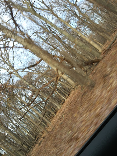 Nature Preserve «Forest Preserves of Cook County», reviews and photos, 9460 S Dee Rd, Park Ridge, IL 60068, USA