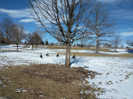 Park «Veterans Park», reviews and photos, 2100 E Iowa Ave, Denver, CO 80210, USA