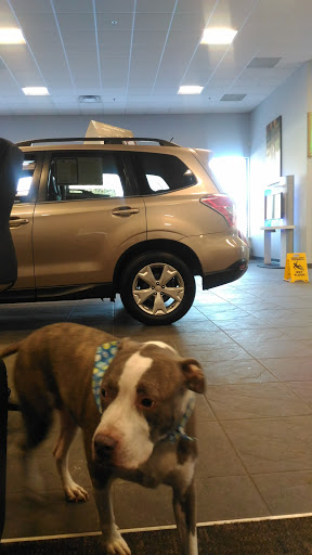Subaru Dealer «Planet Subaru», reviews and photos, 596 Washington St, Hanover, MA 02339, USA