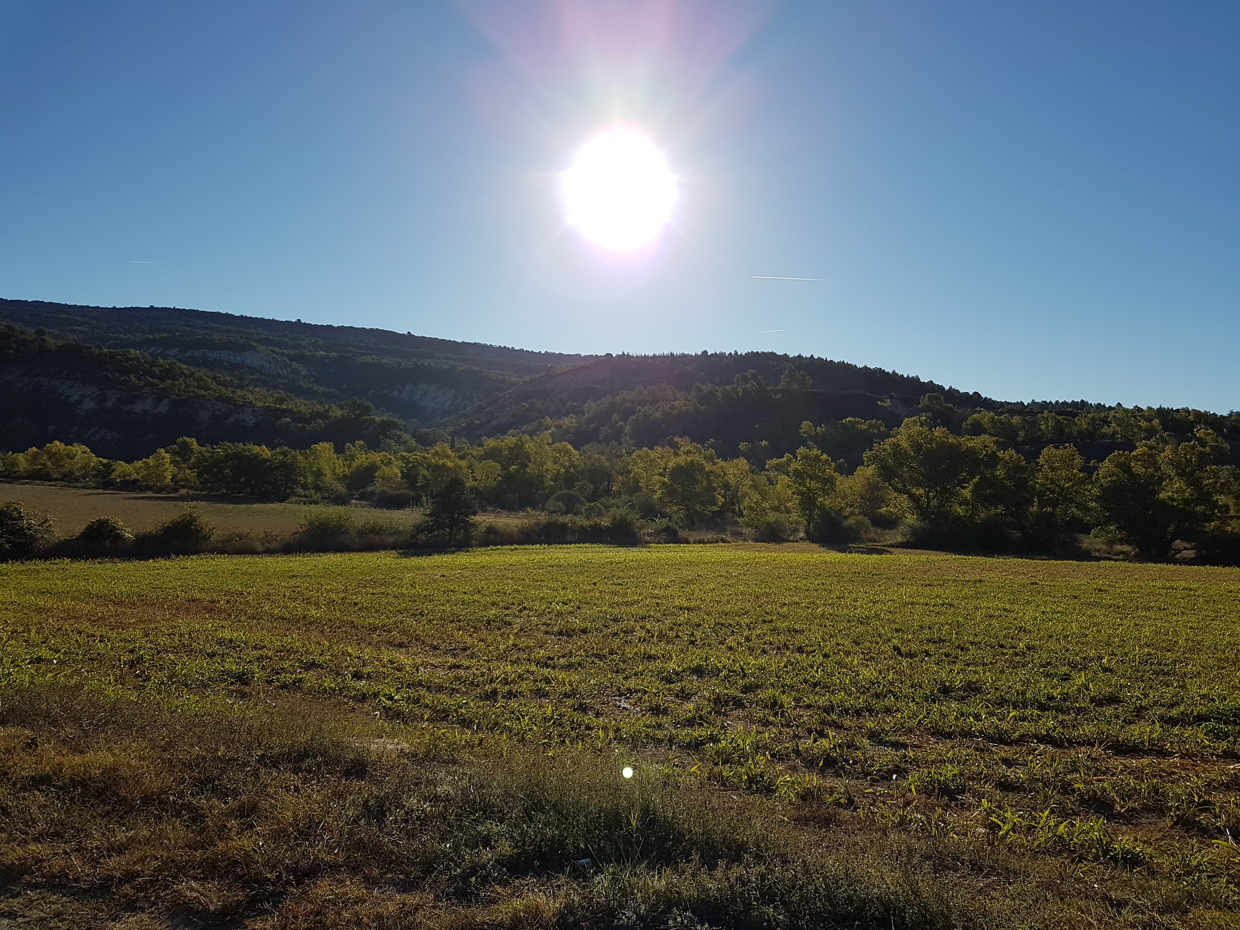 Photo n° 8 de l'avis de Sabine. fait le 07/10/2018 à 14:44