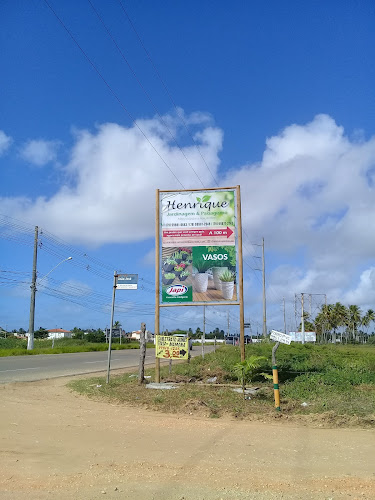 Número de telefone de Henrique Jardinagem & Paisagismo (Robalo)