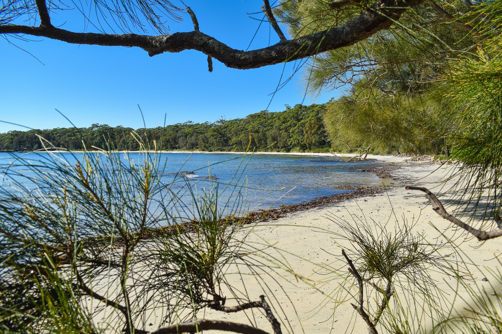 Bindijine Beach'in fotoğrafı doğal alan içinde bulunmaktadır
