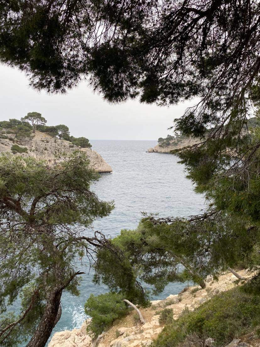 Photo n° 9 de l'avis de Ninette. fait le 25/03/2021 à 12:46