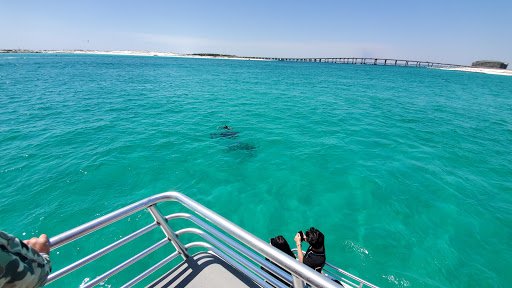 Boat Tour Agency «Destin Airboat Tours», reviews and photos, 1318 Miracle Strip Pkwy SE, Fort Walton Beach, FL 32548, USA