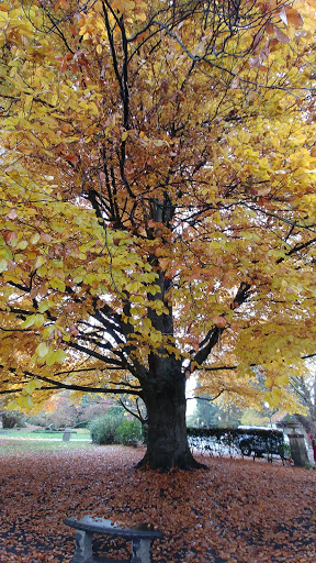 Winery «Chateau Ste. Michelle Winery», reviews and photos, 14111 NE 145th St, Woodinville, WA 98072, USA