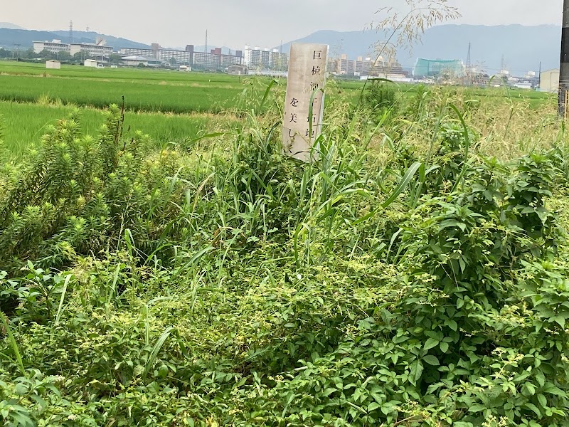 巨椋池土地改良区