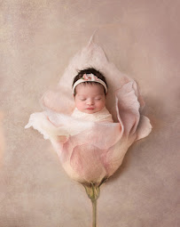 Must De Laur Photography - Photo 2 - Car repair in Staten Island, NY, Staten Island