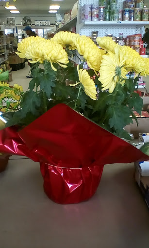 Asian Grocery Store «Oriental Food Store», reviews and photos, 808 W River Dr, Davenport, IA 52802, USA