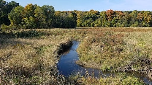 Nature Preserve «Meacham Forest Preserve», reviews and photos, Circle Ave, Bloomingdale, IL 60108, USA