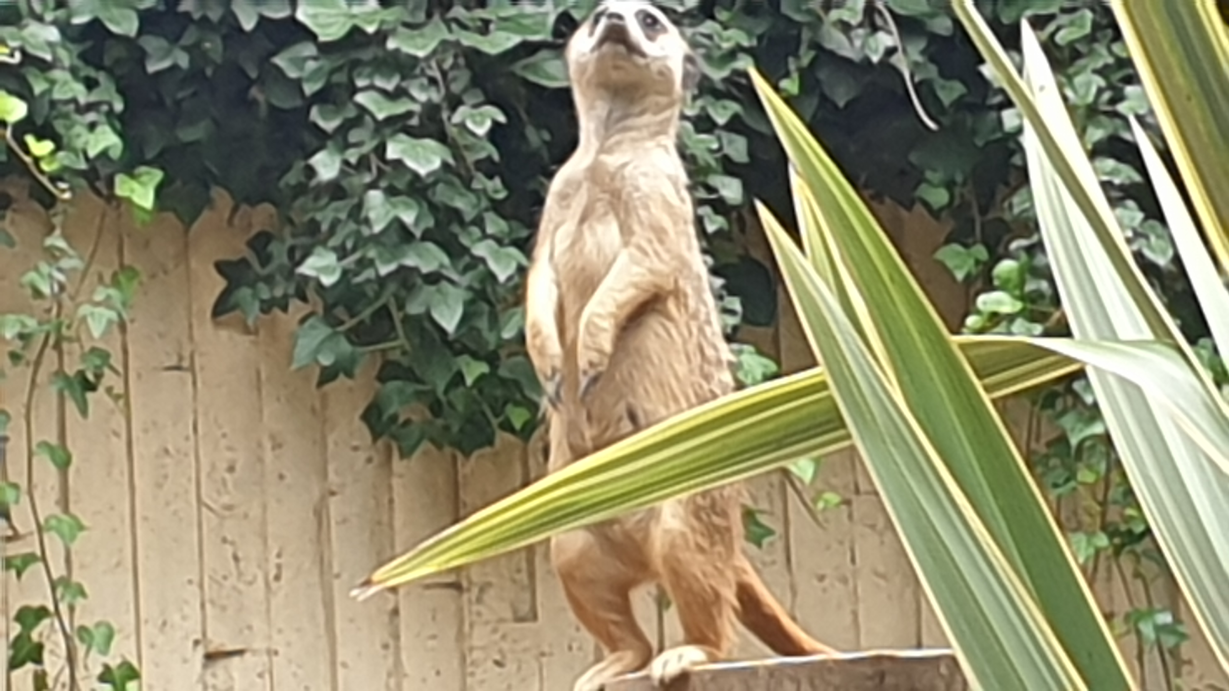 Photo n° 2 de l'avis de Cellier.a fait le 08/07/2023 à 13:32