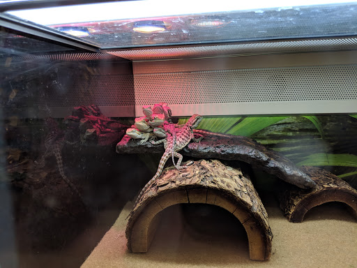 Pet Supply Store «PetSmart», reviews and photos, 1072 Bullsboro Dr, Newnan, GA 30265, USA