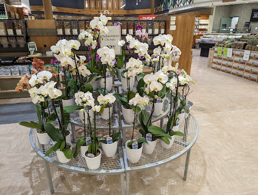 Shopping Mall «Village Of Rochester Hills», reviews and photos, 104 Adams Rd, Rochester, MI 48309, USA