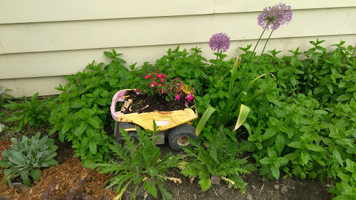 Supermarket «Mt Clemens farmers Market», reviews and photos, 135 N River Rd, Mt Clemens, MI 48043, USA