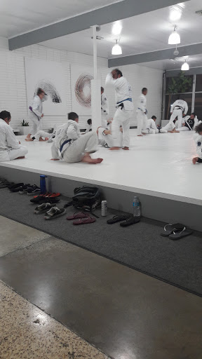 Art of Jiu Jitsu Academy image