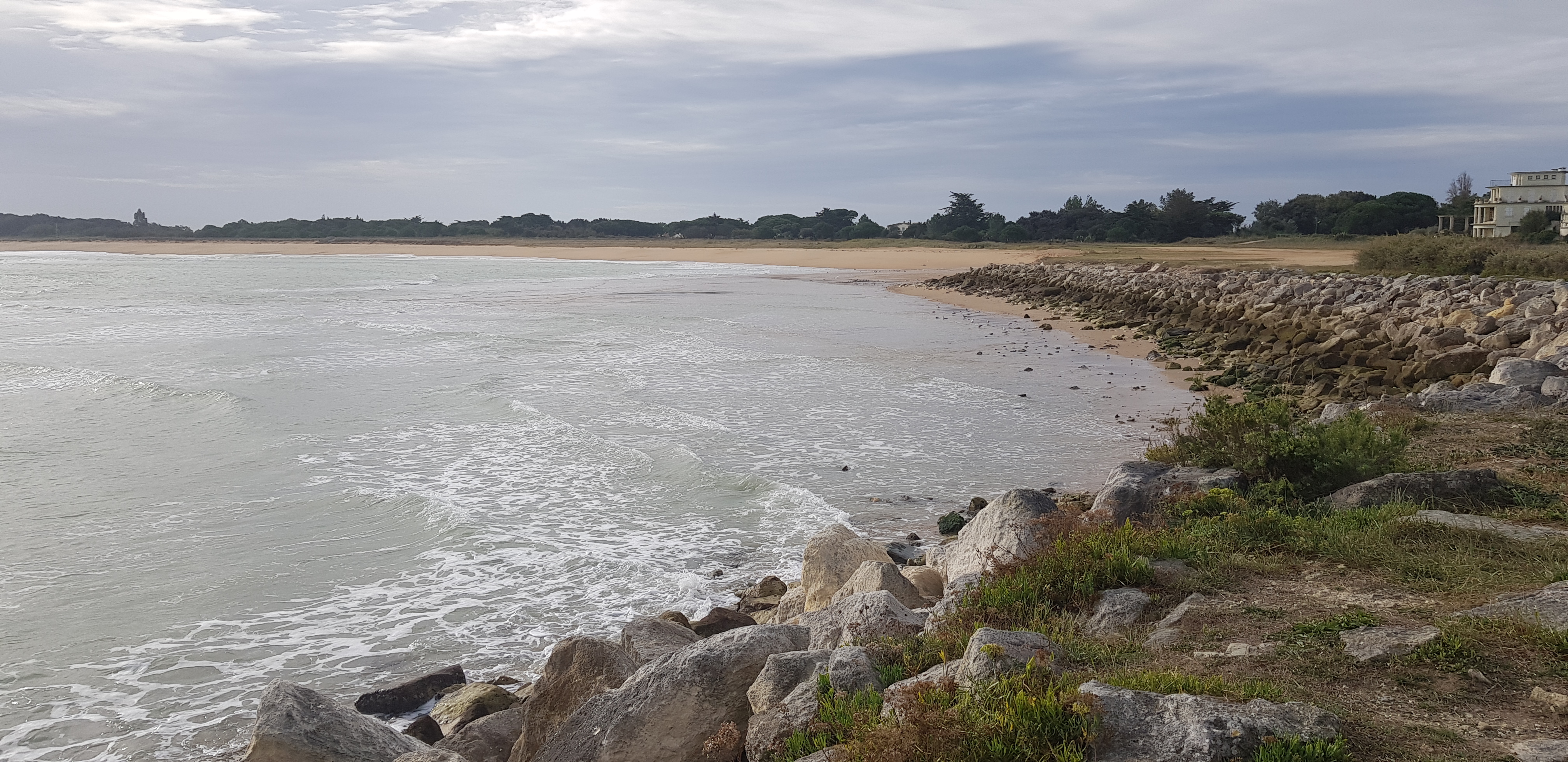 Photo n° 2 de l'avis de Ariane.e fait le 23/10/2023 à 20:56